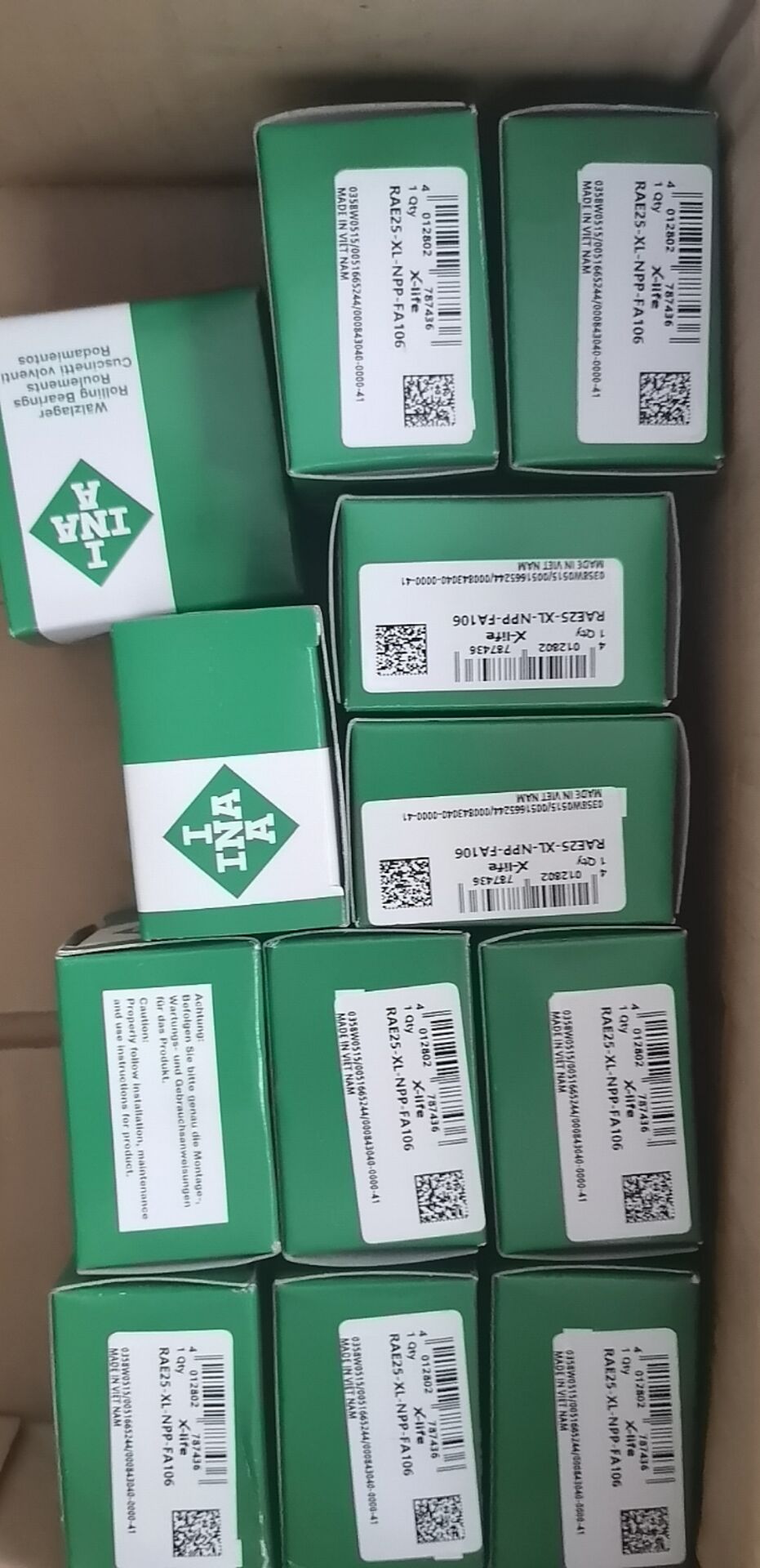 RAE25NPP-FA106 INA