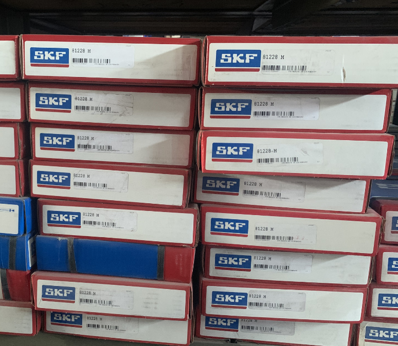 SKF 81228M